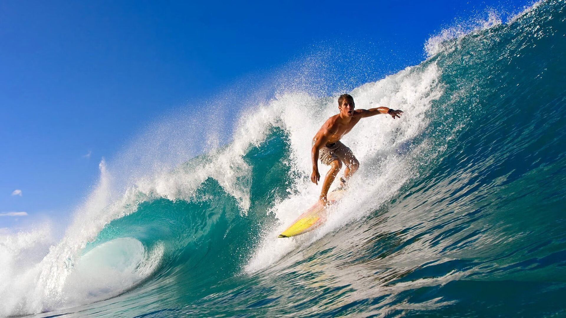 开云真人-中超转会窗口开启球队布局各显神通，中超球员转会